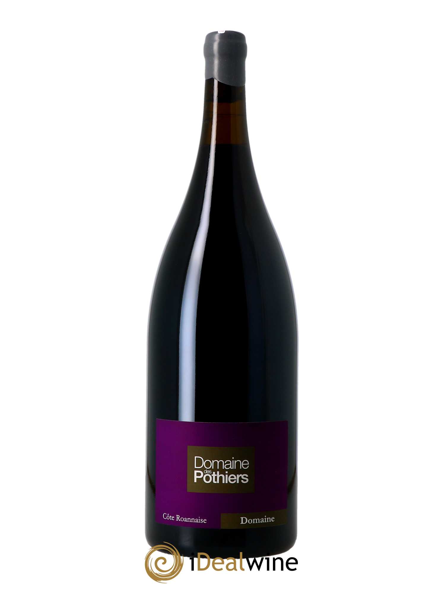 Côte Roannaise Domaine Domaine des Pothiers  2021 - Lot de 1 Magnum