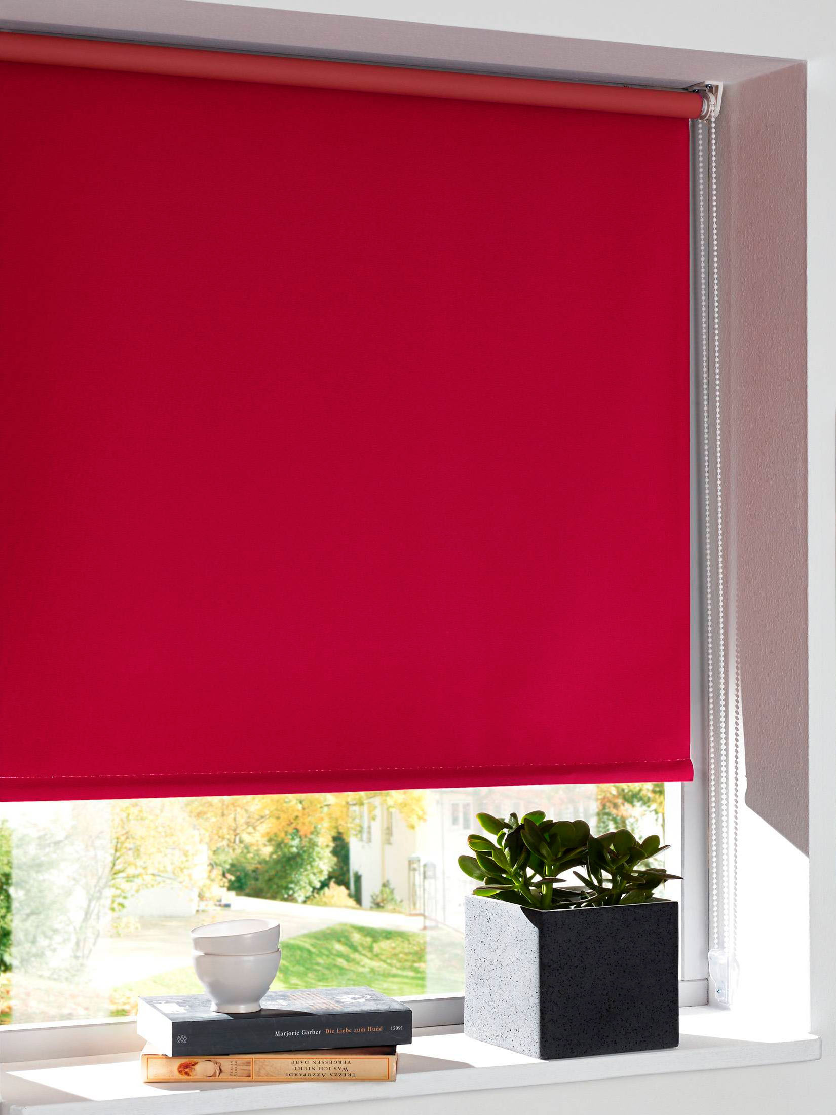 Easy Rollo Moon Rollo, Rot
