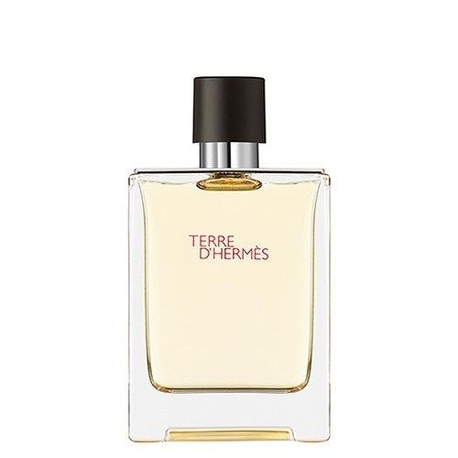 Hermès Terre d'Hermès Eau de Toilette