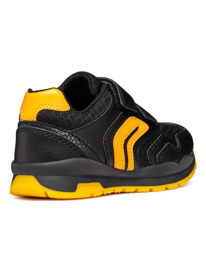 Geox Sneakers 