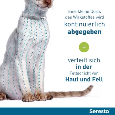 Seresto® Halsband Katze