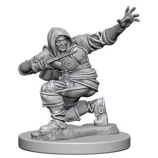 Human Male Rouge: Pathfinder Deep Cuts Unpainted Minis