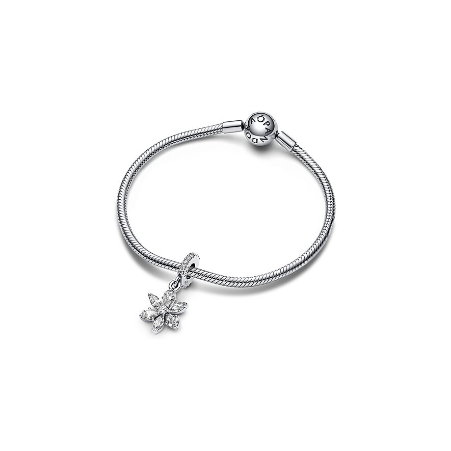 Pandora Anhänger Timeless