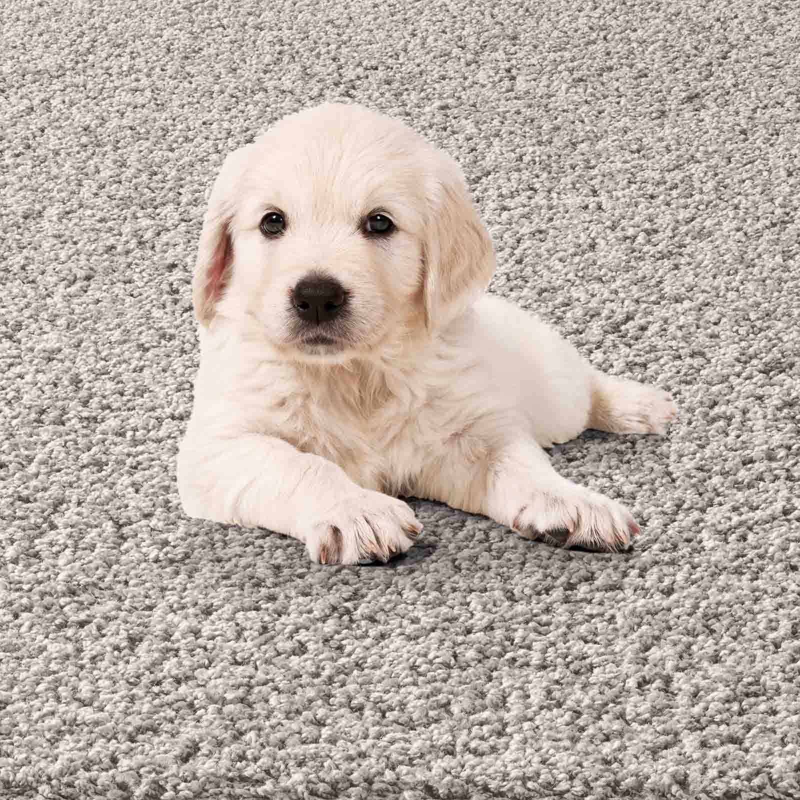 Langflor-Teppich Langflorteppich Sole 100% Polypropylen, TaraCarpet, rechteckig, Höhe: 30 mm, Hochflor Shaggy grau waschbar Wohnzimmer Schlafzimmer Bad 060x090 cm