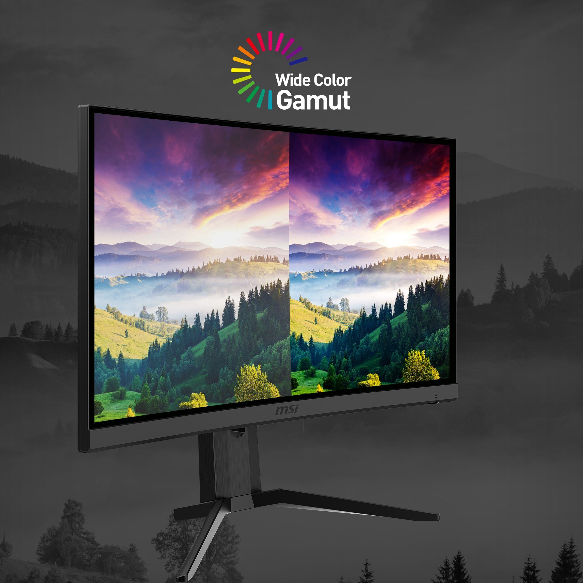 MSI G24C6P E2 Curved-Gaming-LED-Monitor (59,9 cm/24 