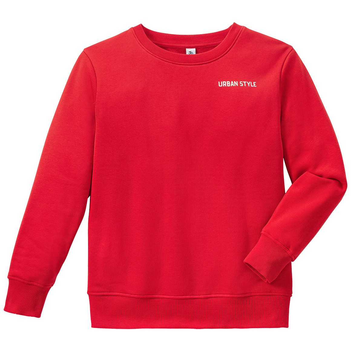 Jungen Sweatshirt mit kleinem Print