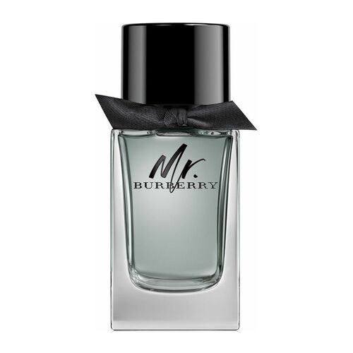 Burberry Mr. Burberry Eau de Toilette 100 ml