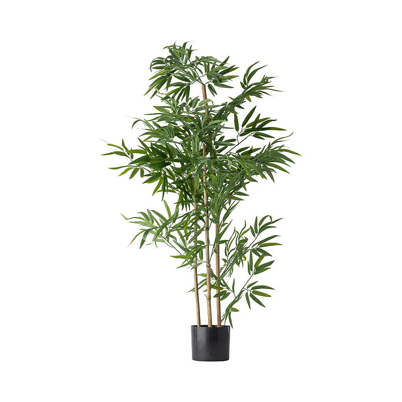 Home Bambustre 123 cm