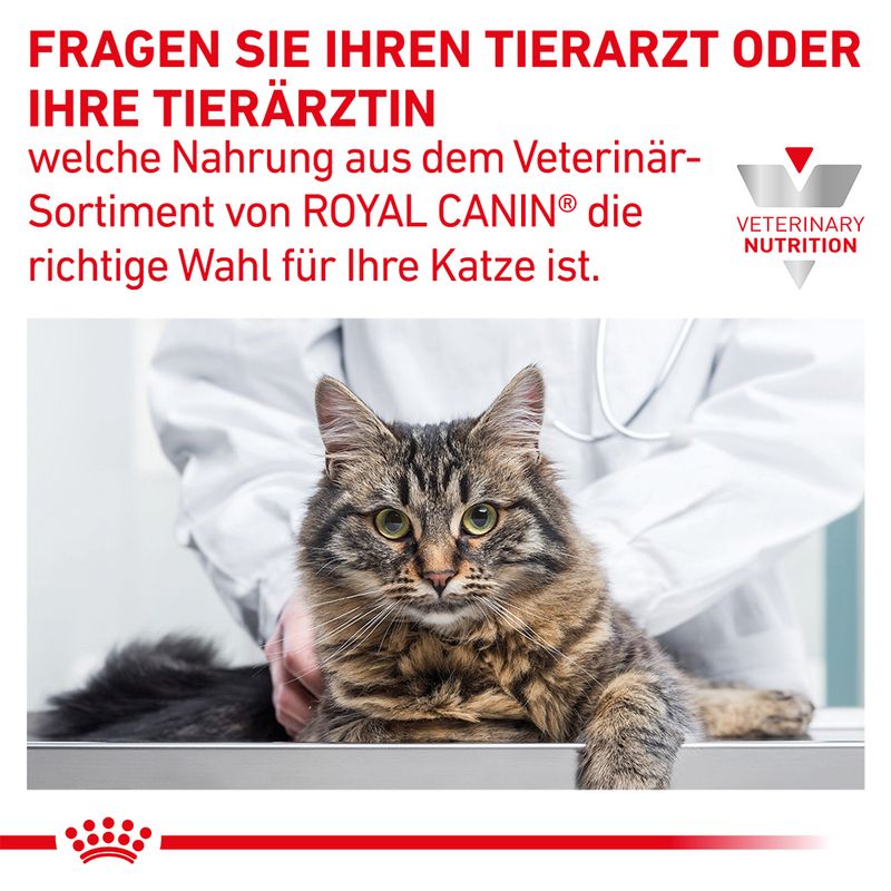 Royal Canin Veterinary Feline Gastrointestinal Moderate Calorie