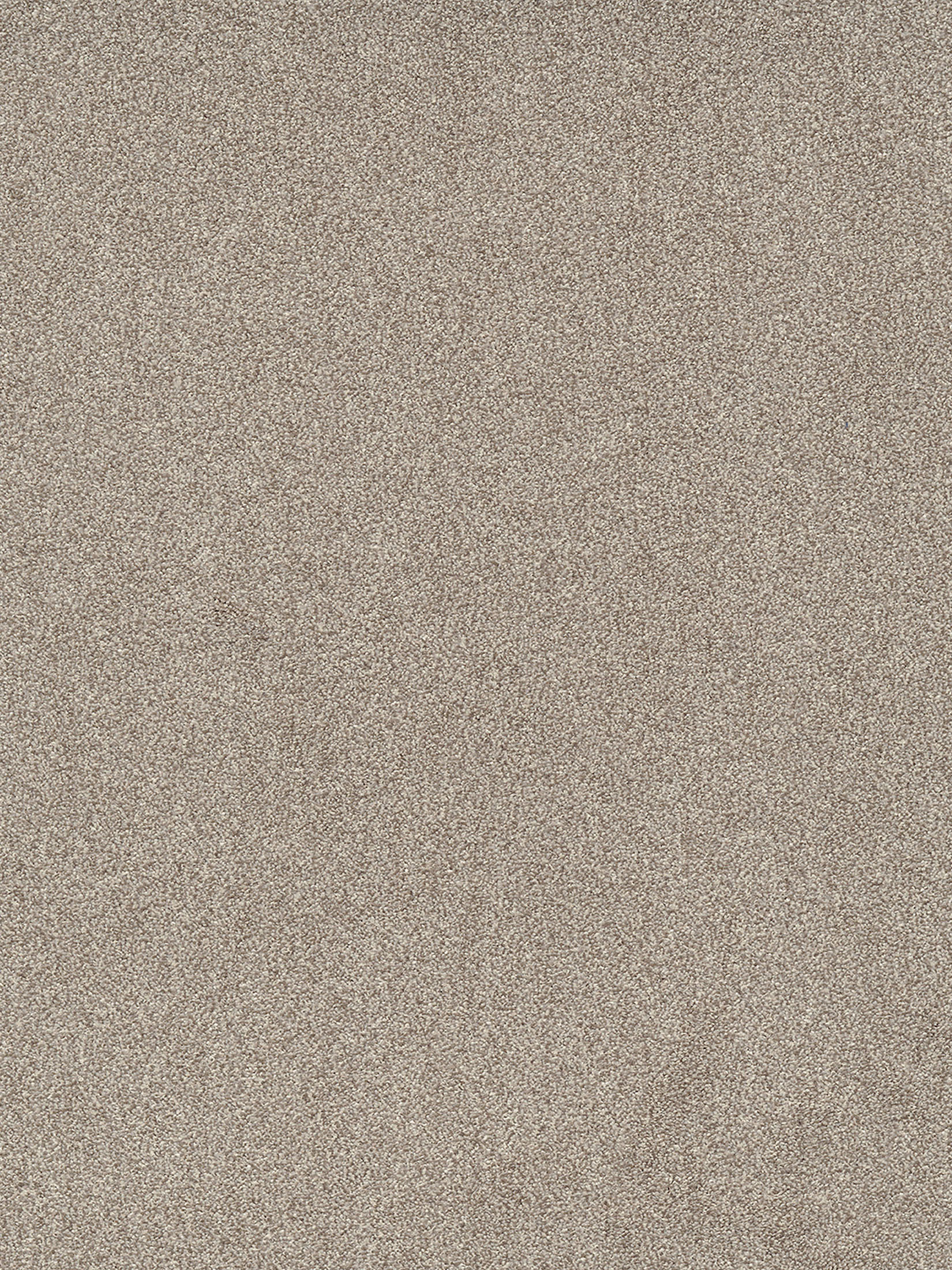 Taomania Teppichbodenfliese, Sand