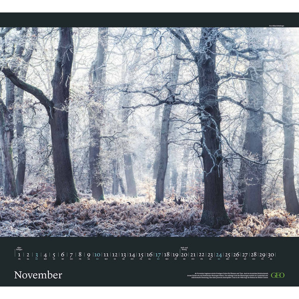 GEO KALENDER: SEHNSUCHT WALD 2024 - WAND-KALENDER - Kalender
