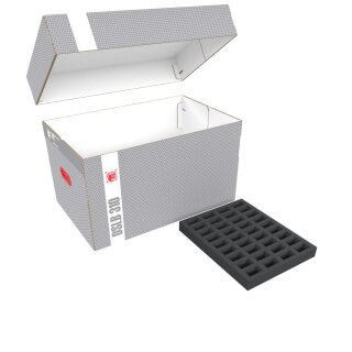 Feldherr Lagerbox DS für Villen des Wahnsinns - Figuren
