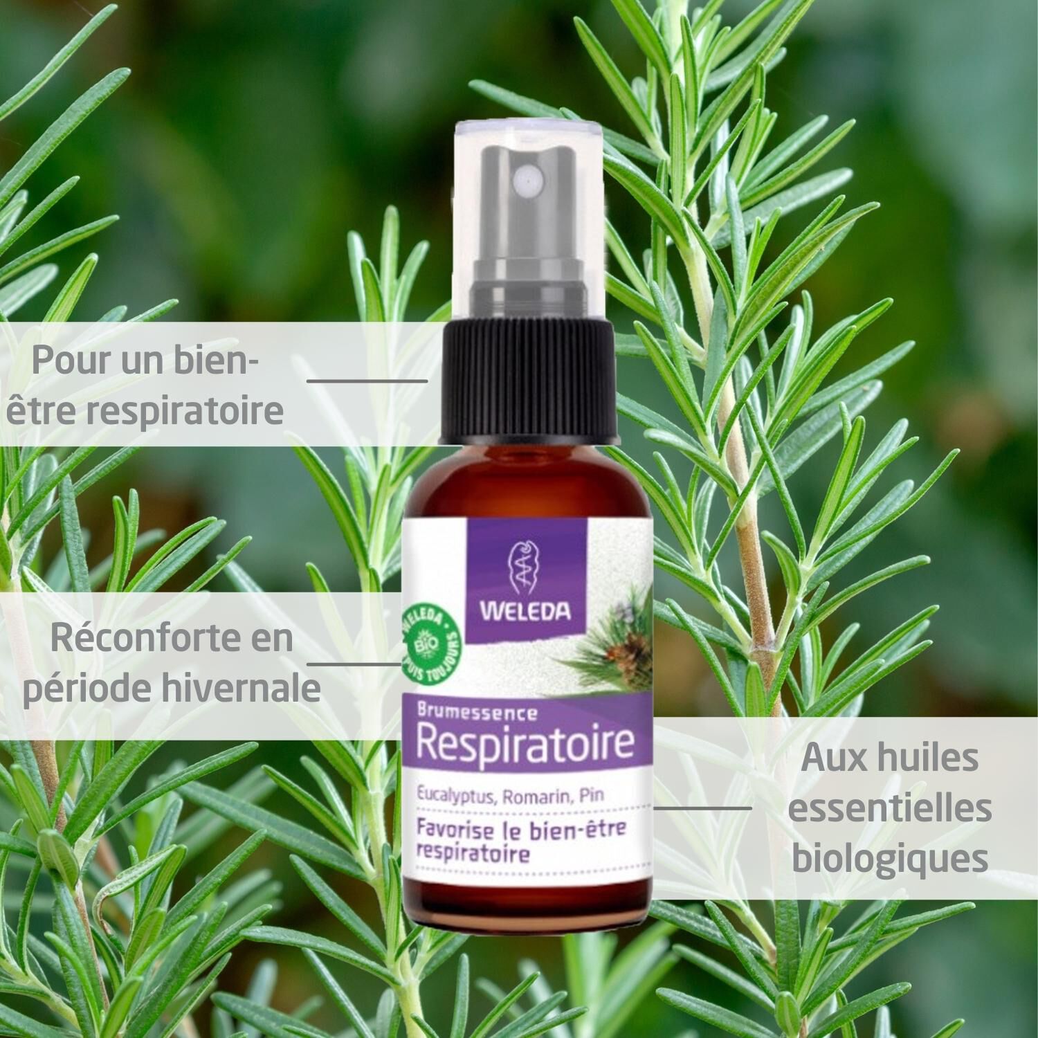 Weleda Brumessence® Respiratoire Parfum d'Ambiance - 100 % Bio - 50 ml