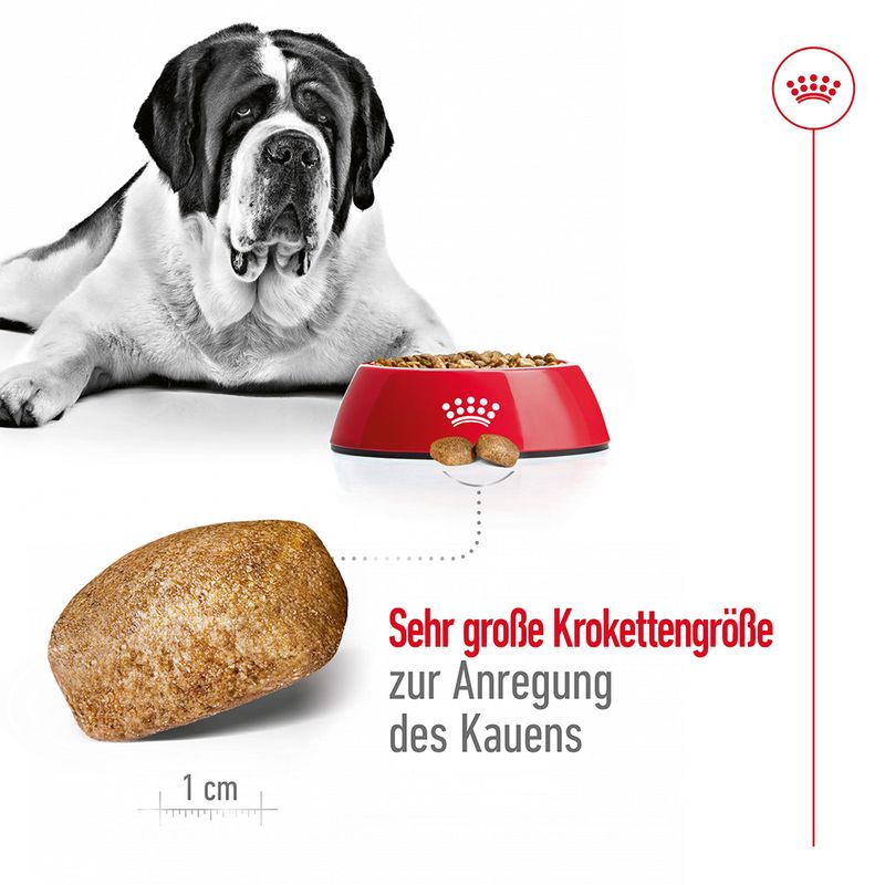 Royal Canin Giant Adult