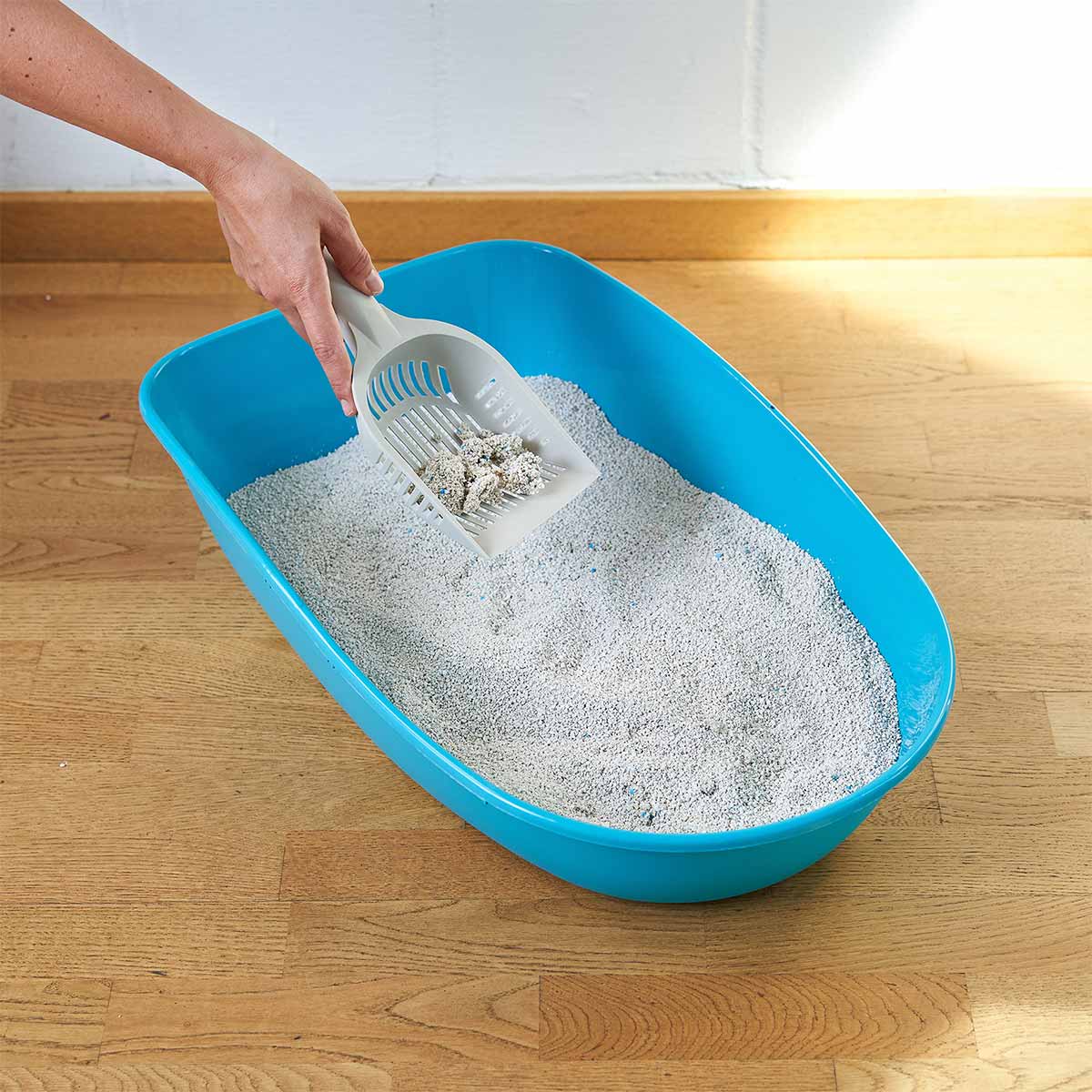 ZooRoyal Tigrooo Blue Magic günstig kaufen