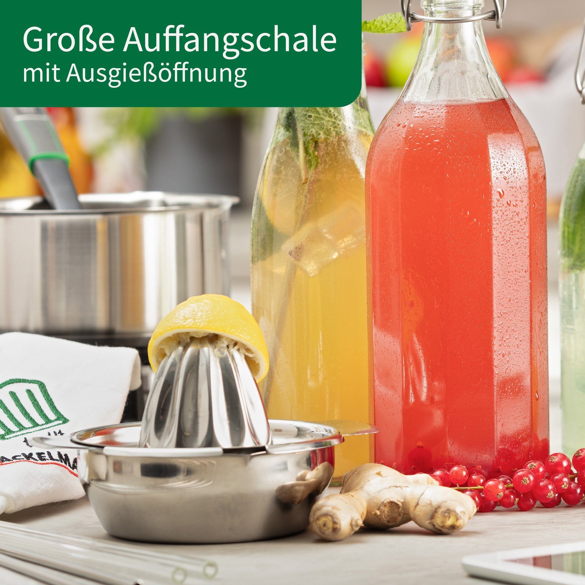 Chefkoch trifft Fackelmann Zitruspresse