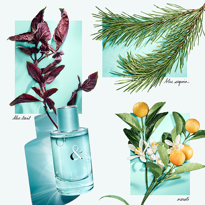 Tiffany & Co Tiffany & Love for Her Eau de Parfum Spray