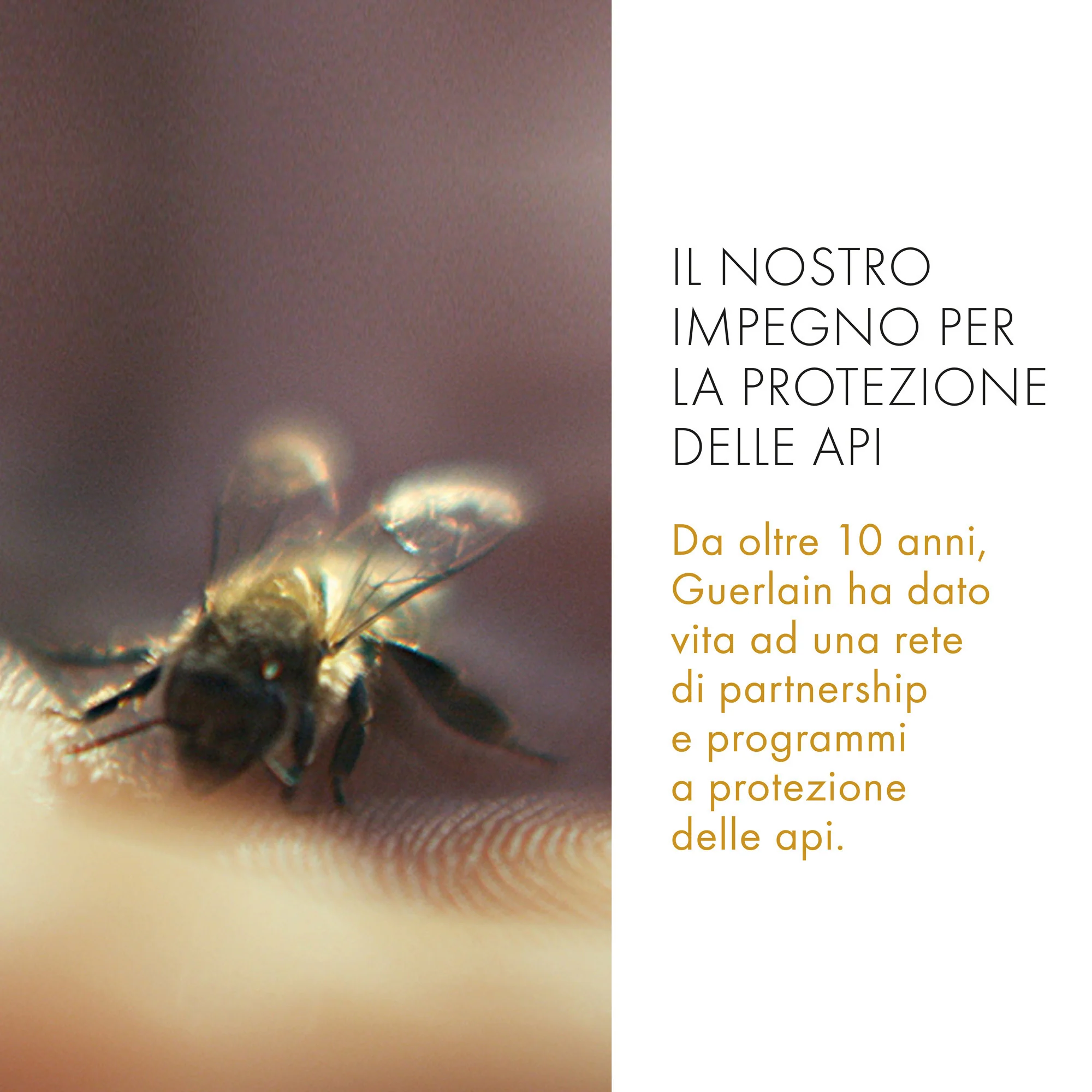 Abeille Royale Huile Démaquillante Anti-Pollution - Gezichtsreinigingsolie