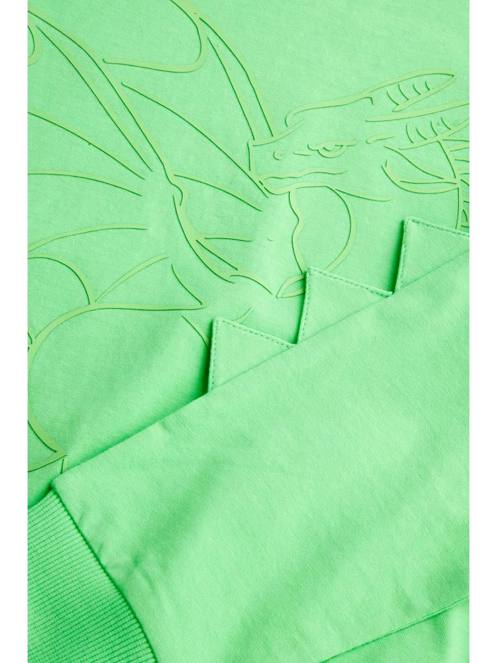 Coccodrillo Langarm-T-Shirt in grün günstig kaufen
