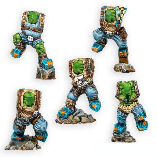 Orc Storm Riderz Bodies (5)