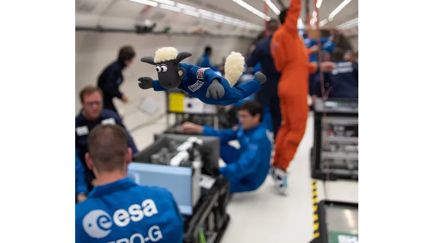 Shaun das Schaf - Der Film: 1 & 2  [2 DVDs]