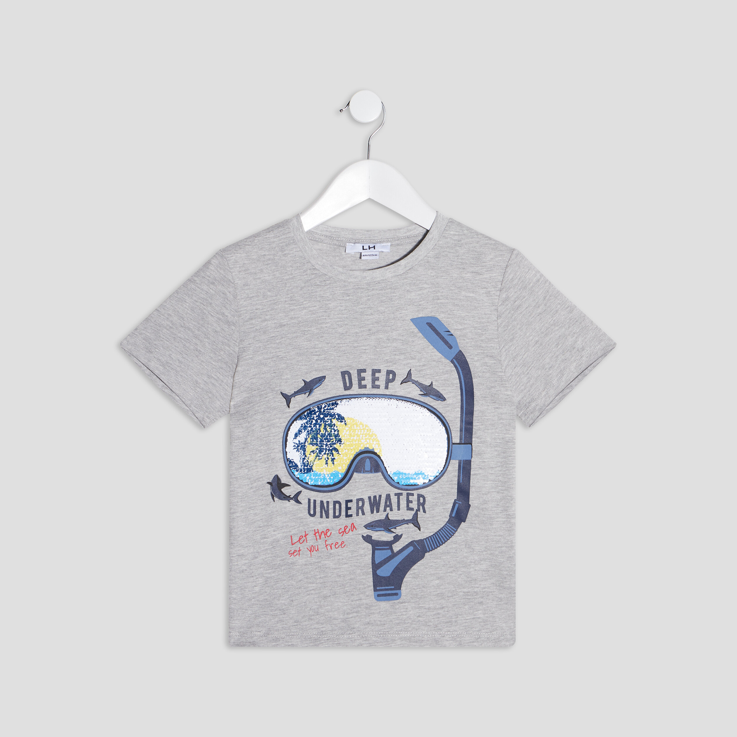 T-shirt manches courtes gris garçon | La Halle