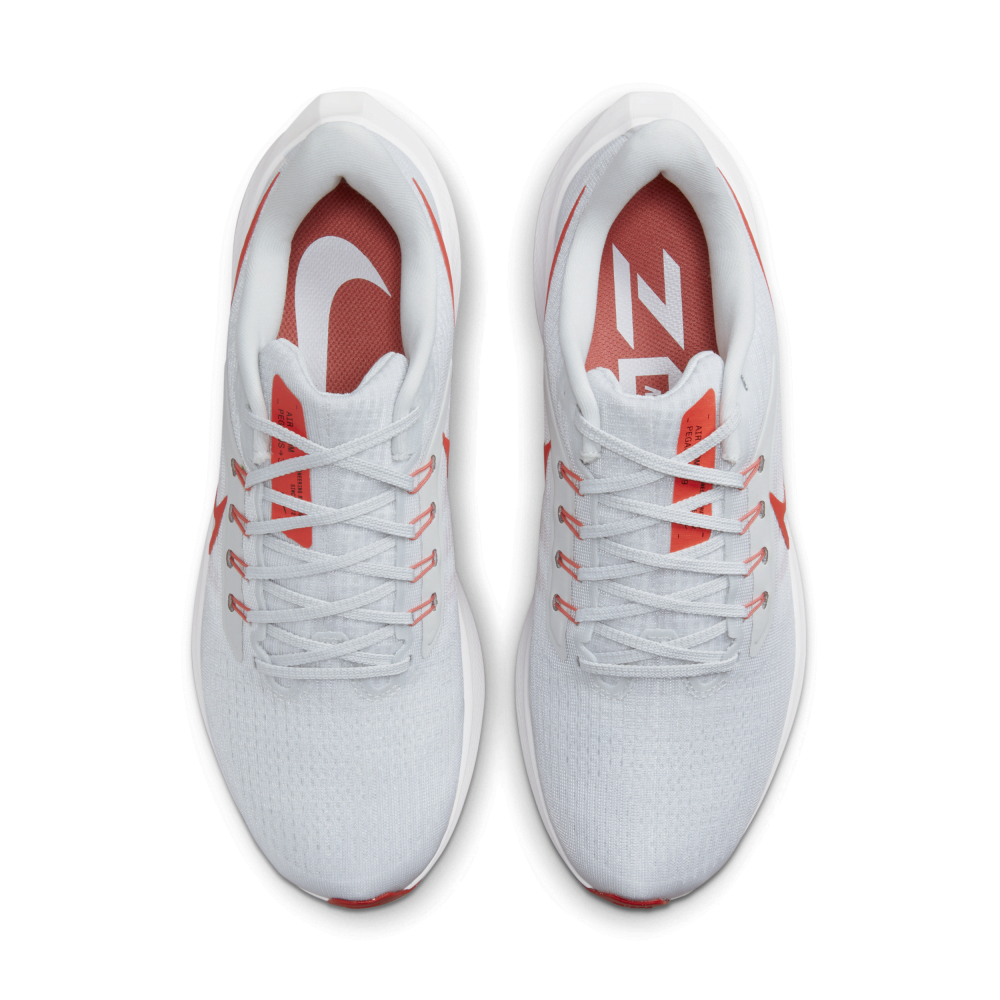 Nike Air Zoom Pegasus 39 DH4071-009 / grau