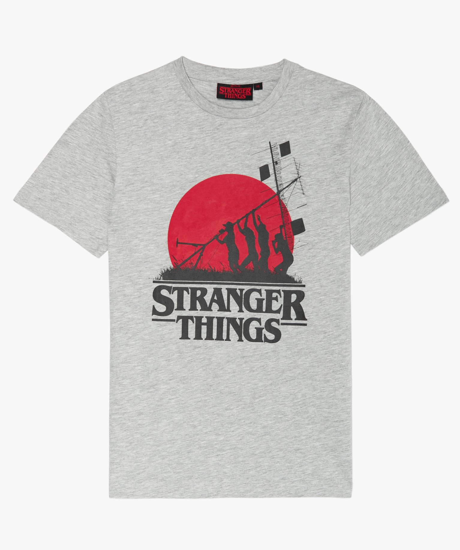 Tee-shirt Garçon avec motif XXL- Stranger Things gris | GEMO