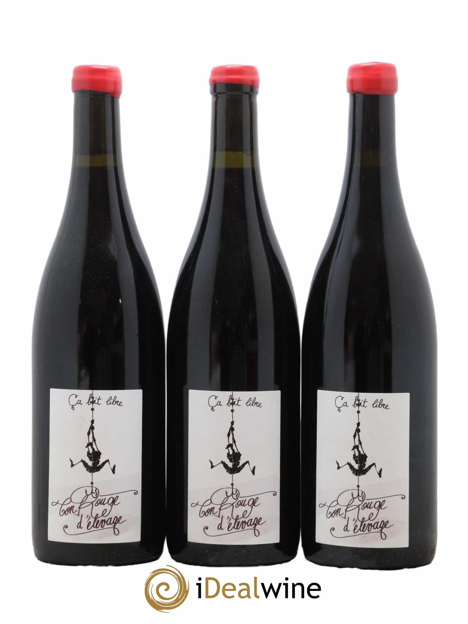 Vin de Savoie Ton rouge d'élevage Domaine Ca boit libre 2021 - Lot de 3 Bouteilles