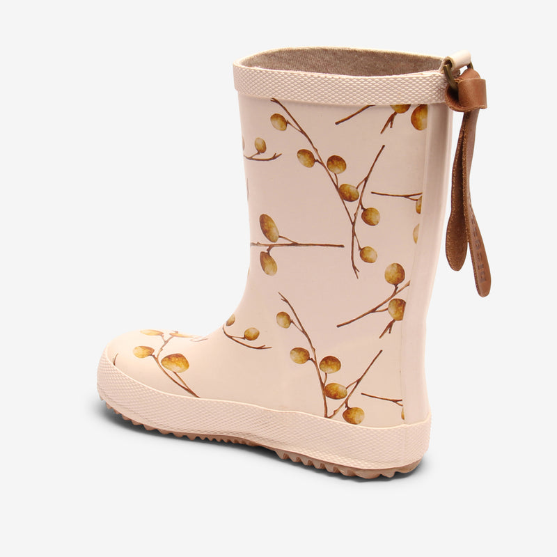 fashion longan fruit - Rose