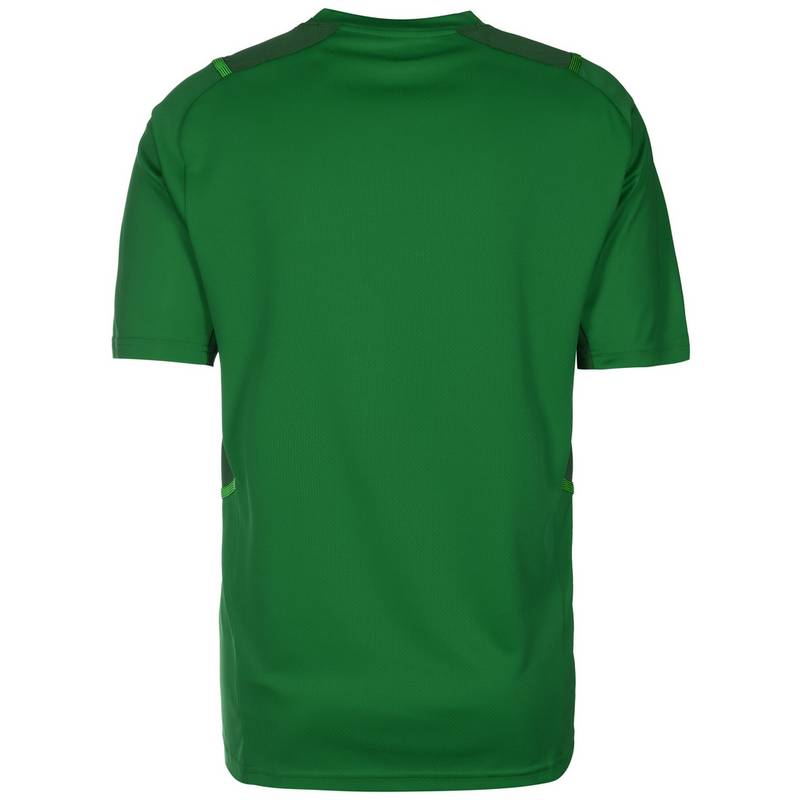 PUMA TeamCUP Funktionsshirt Herren