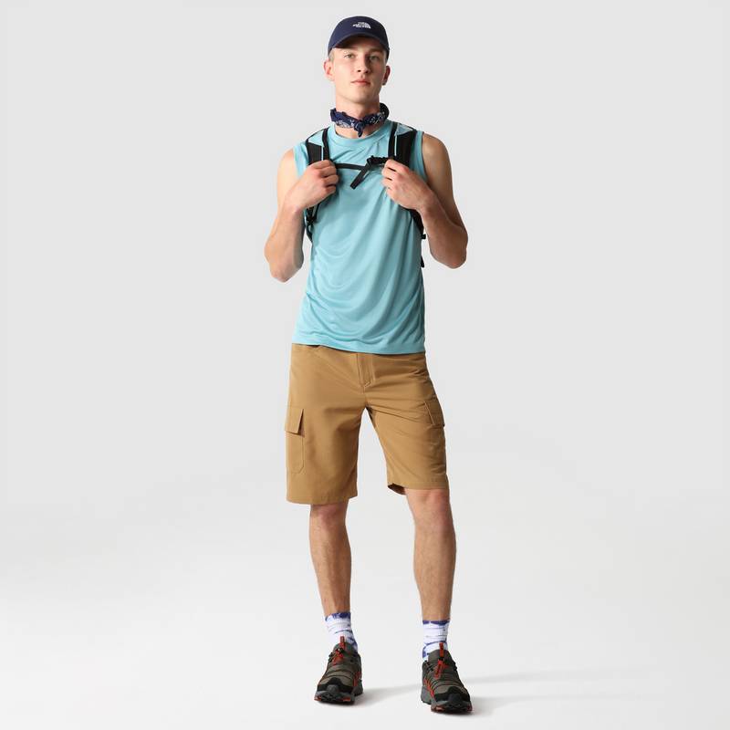 The North Face Horizon Circular Cargoshorts Herren