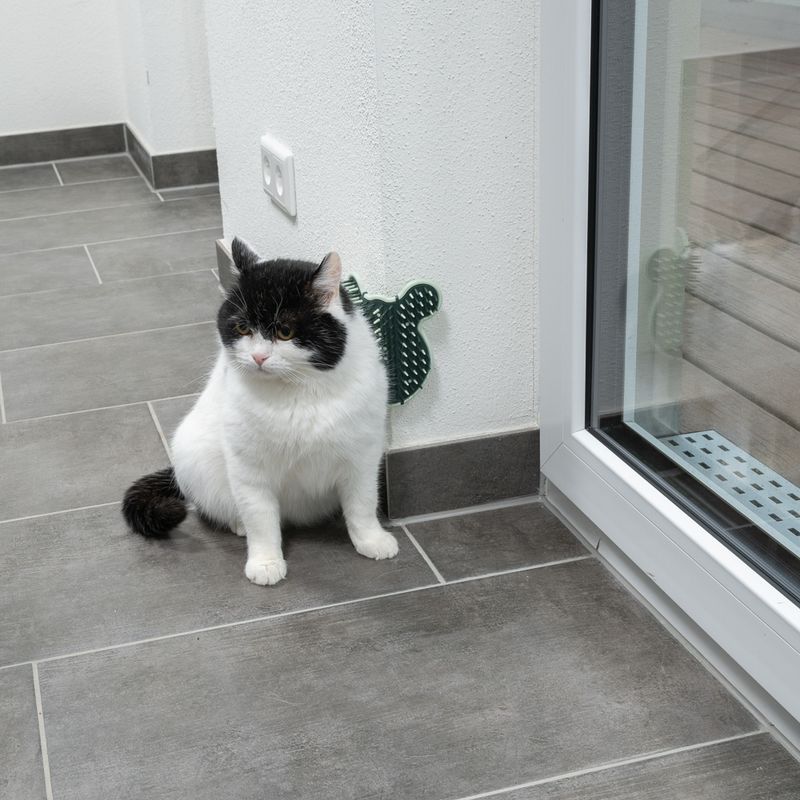 kooa Eckbürste für Katzen zu TOP-Preisen