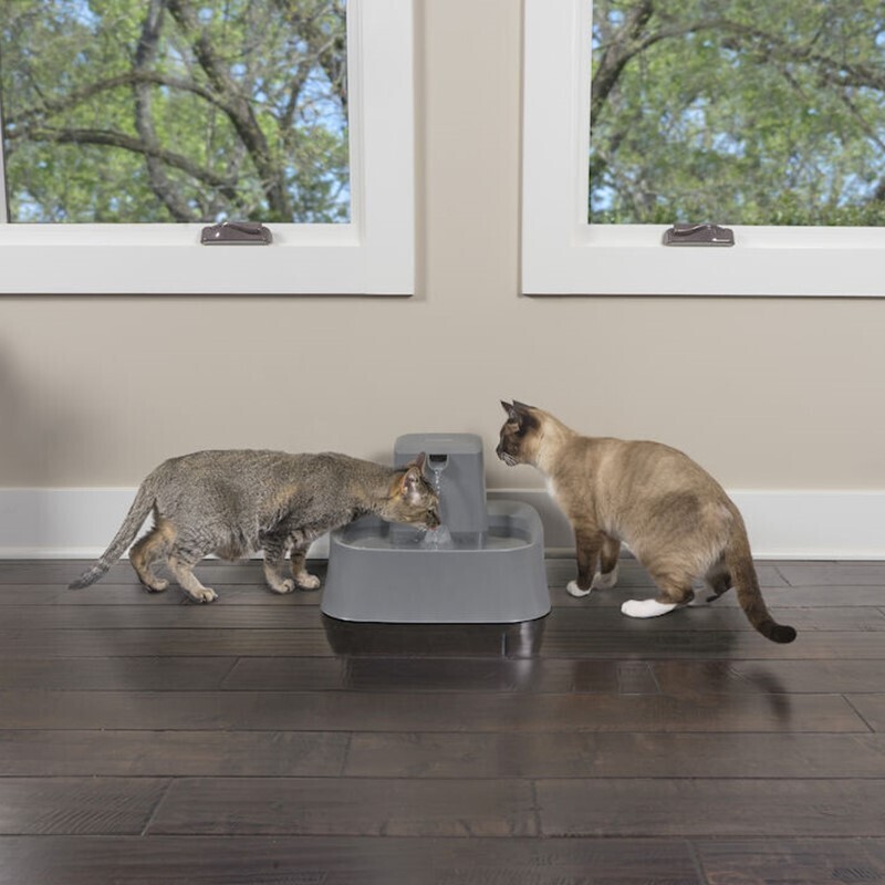 PetSafe Trinkbrunnen PetSafe Trinkbrunnen 7,5 l