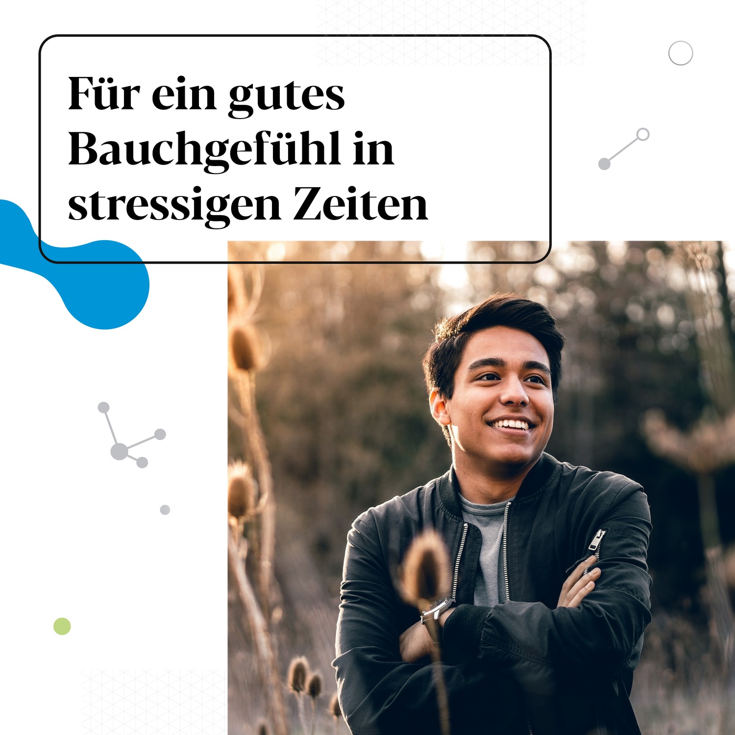 Zen Kapseln