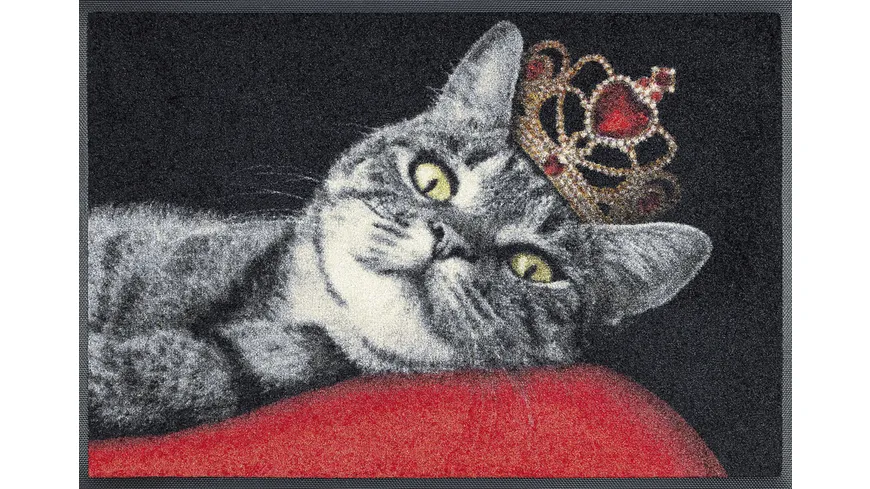 wash+dry Fußmatte Royal Cat 50x75cm