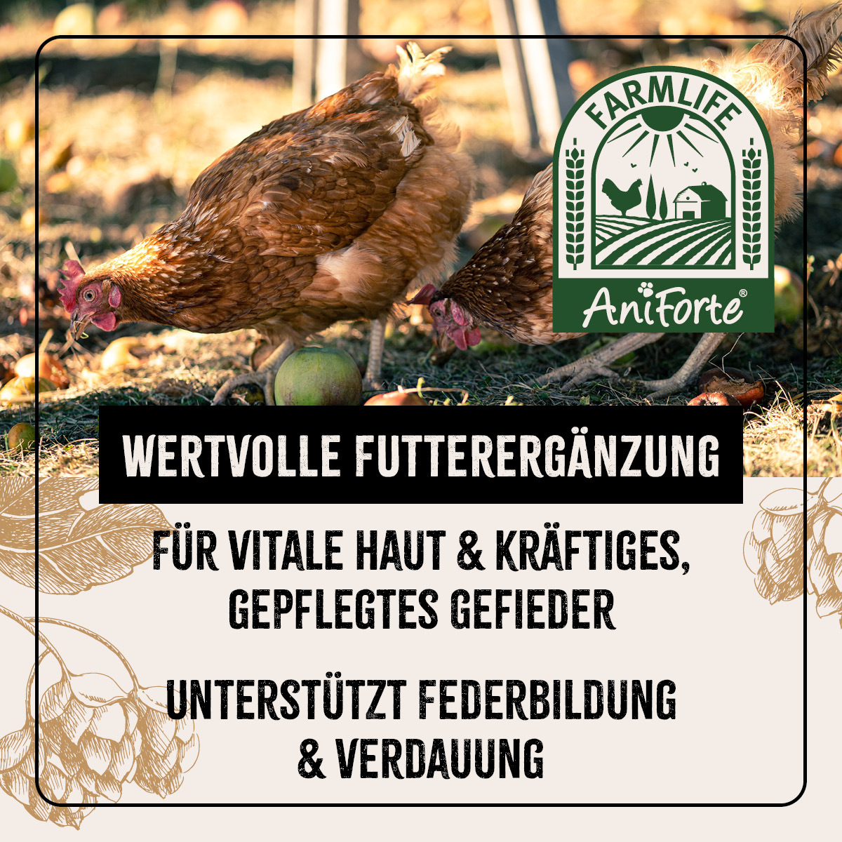 Aniforte Futter & Heu Aniforte FarmLife Geflügel Bierhefe Spezial Mix 1kg