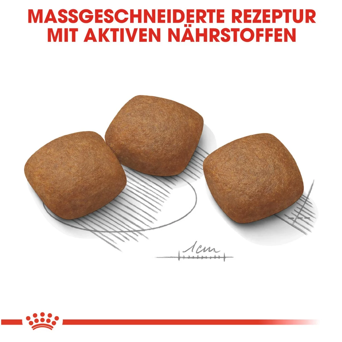 ROYAL CANIN JOINT CARE MAXI Trockenfutter für große Hunde mit empfindlichen Gelenken