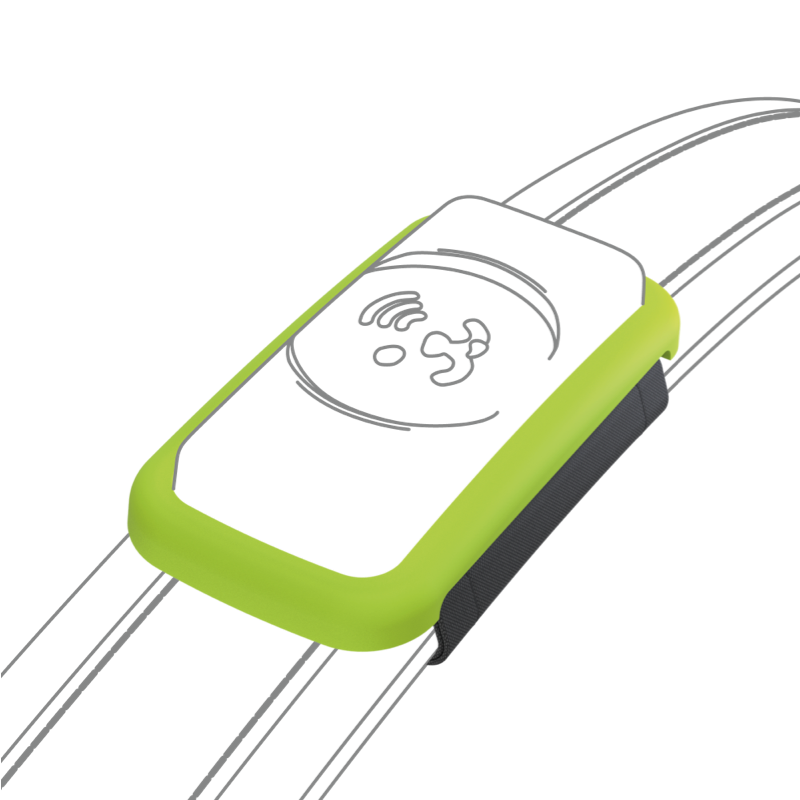 Fressnapf GPS Tracker & Zubehör Fressnapf GPS-Tracker für Hunde grün