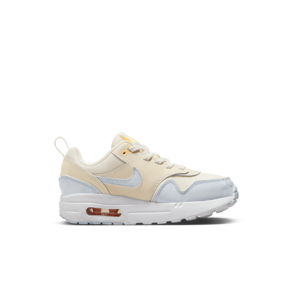 Nike Air Max 1 DZ3308-102 / braun