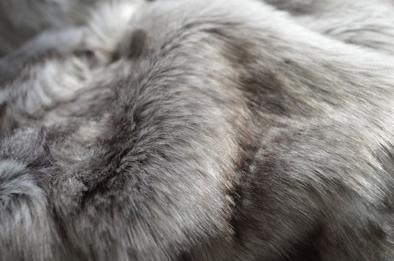 Kinzler Fellimitat Wohndecke Wolf