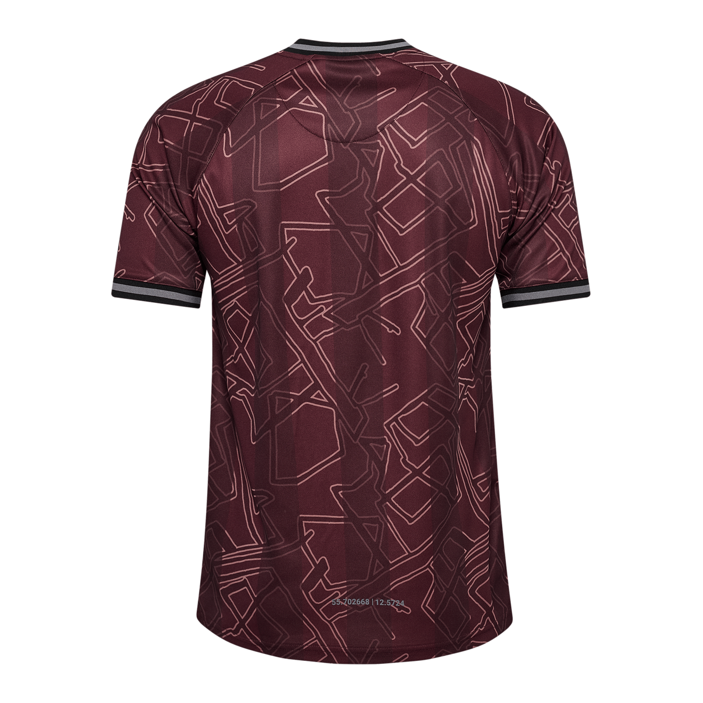 Hummel Dänemark x Halo Trikot 2024 Blau F8186