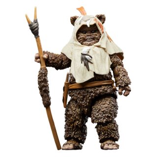 Star Wars Episode VI 40th Anniversary Black Series Actionfigur: Paploo