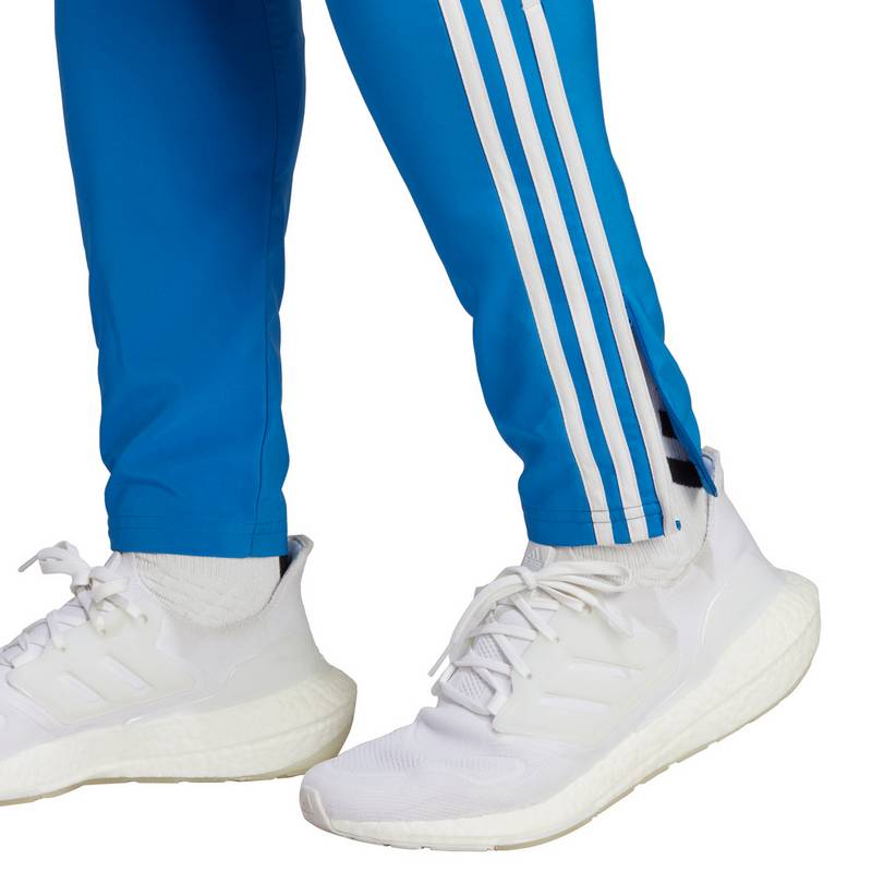 adidas FC Bayern München Prematch Trainingshose Herren