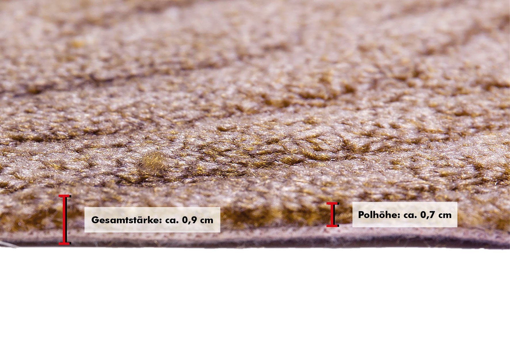 Teppichboden Coupon Amberg, Andiamo, rechteckig, Höhe: 9 mm, Breite 300, 400 oder 500 cm, Hoch-Tief Effekt, strapazierfähig