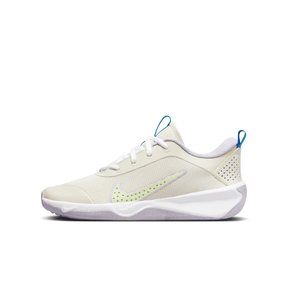 Nike Omni Multi Court DM9027-106 / braun