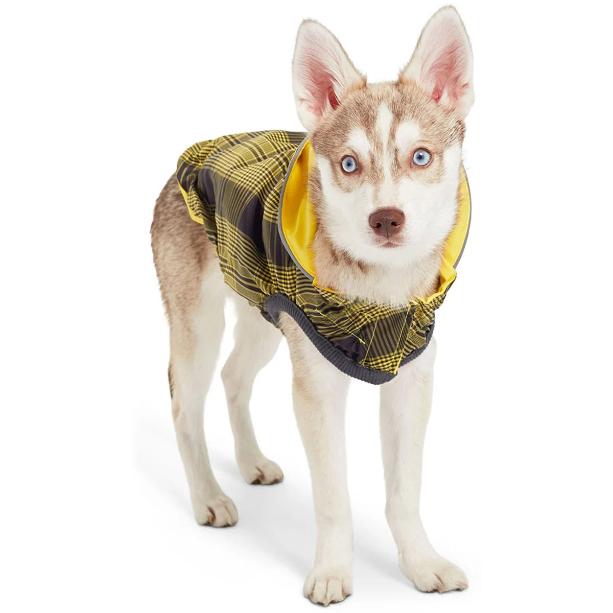 GF Pet Elastofit Regenmantel gelb günstig kaufen bei ZooRoyal