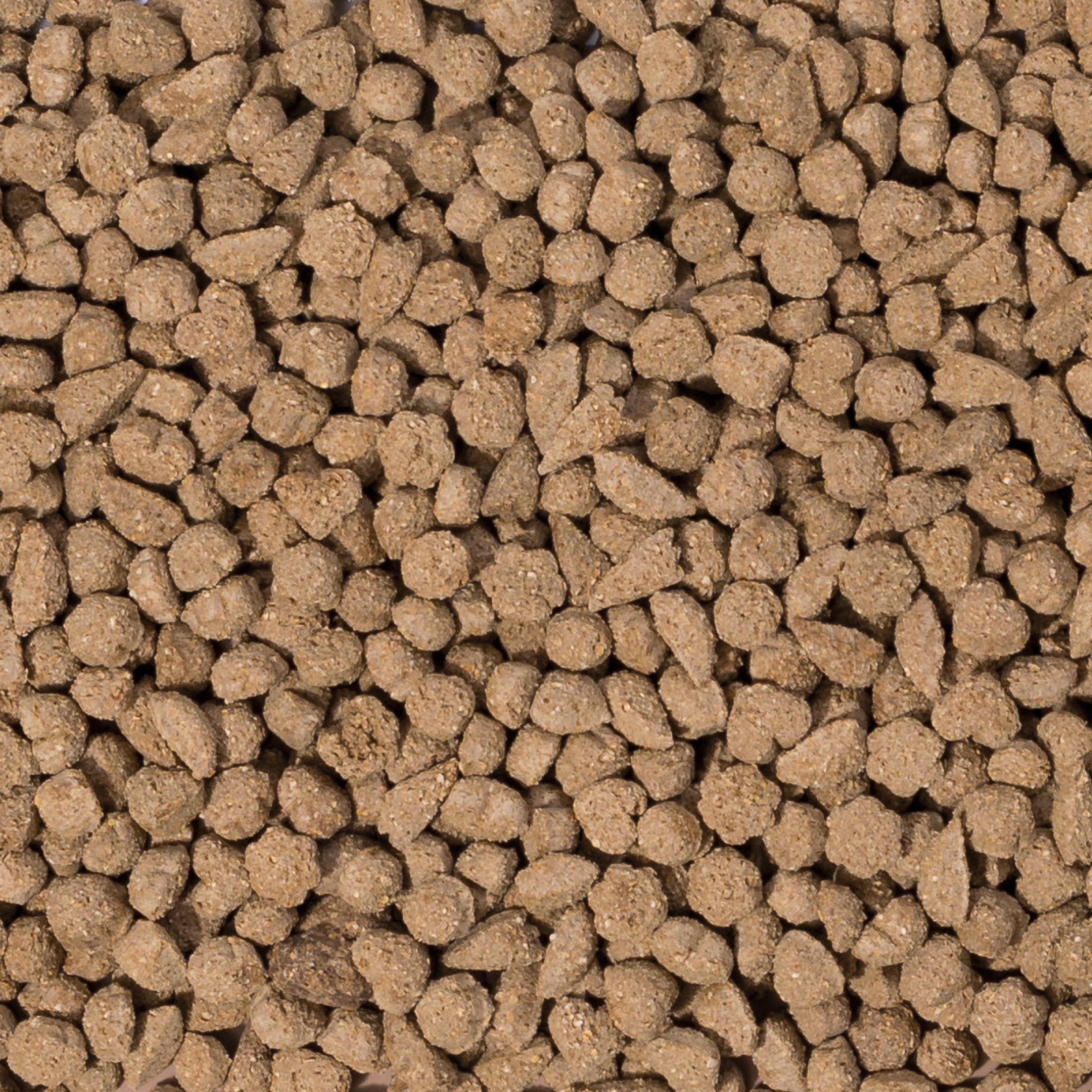 Beaphar Hauptfutter Beaphar Care+ Kaninchen 5 kg