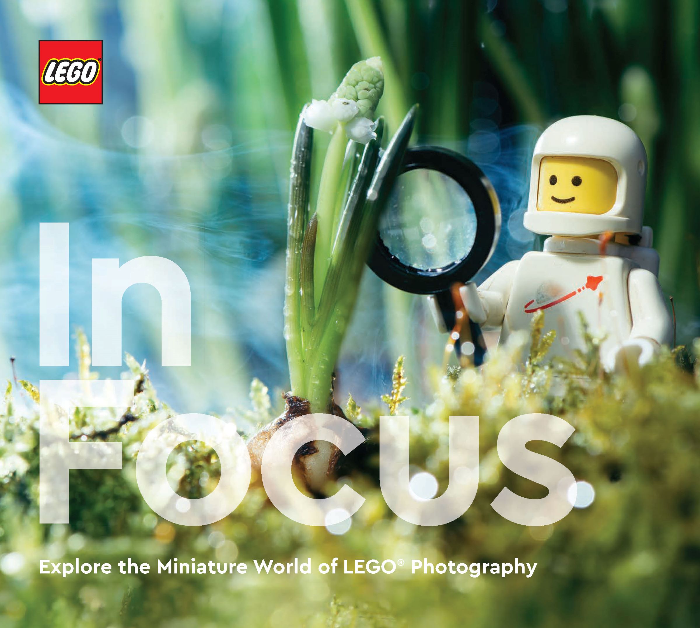 In Focus 5007642