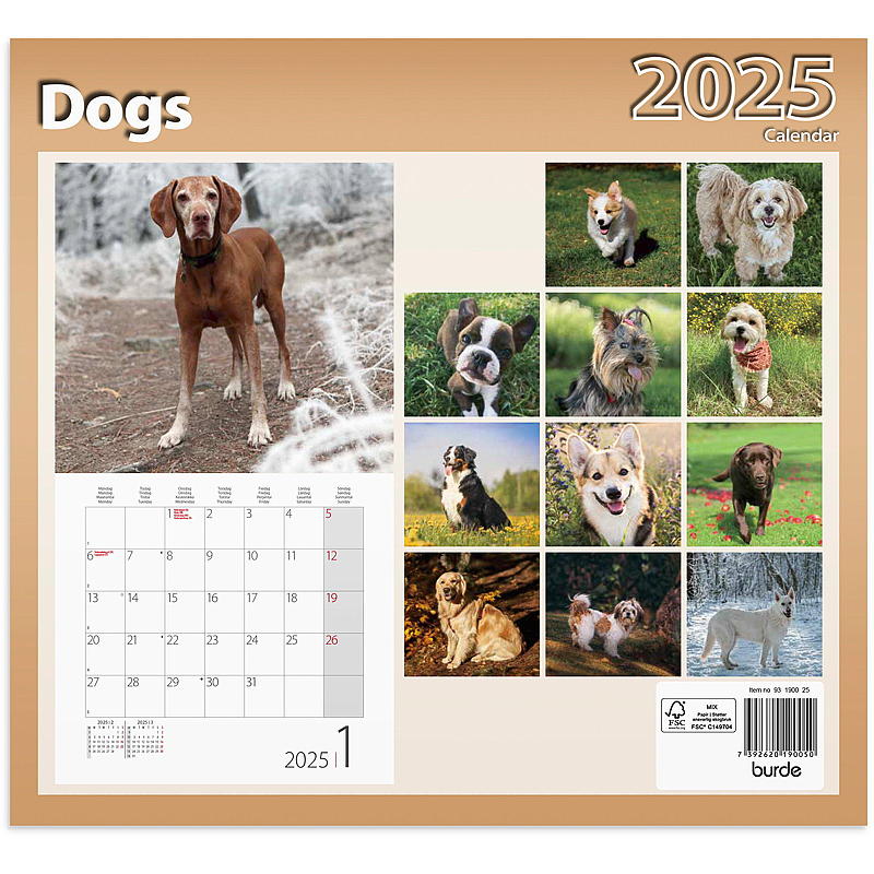 Veggkalender dogs 2025